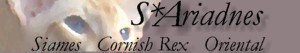 banner.jpg (6579 bytes)